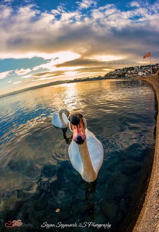 NEW STUDIO 70m TO THE LAKE Ohrid Ngoại thất bức ảnh