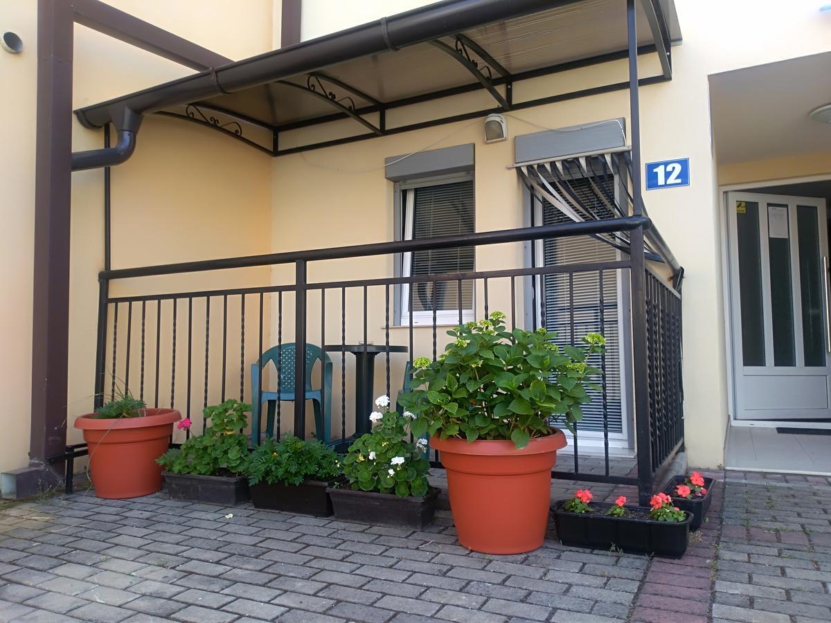 NEW STUDIO 70m TO THE LAKE Ohrid Ngoại thất bức ảnh